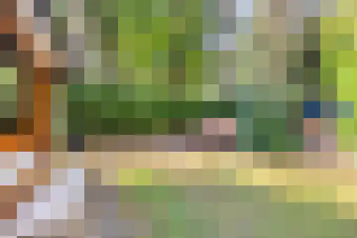 Hogeveldsweg 26 225 Giethmen thumbnail 42