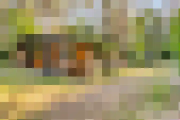 Hogeveldsweg 26 225 Giethmen thumbnail 43