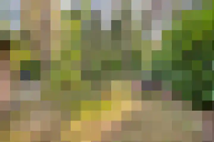 Hogeveldsweg 26 225 Giethmen thumbnail 44