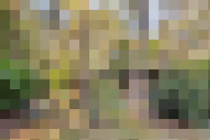 Hogeveldsweg 26 225 Giethmen thumbnail 45