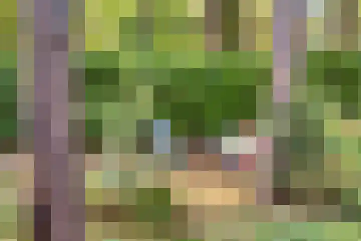 Hogeveldsweg 26 225 Giethmen thumbnail 46