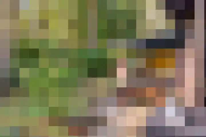 Hogeveldsweg 26 225 Giethmen thumbnail 47