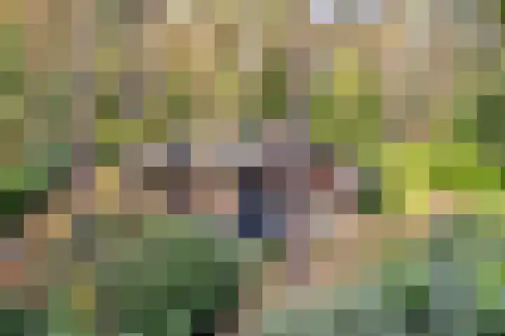 Hogeveldsweg 26 225 Giethmen thumbnail 5