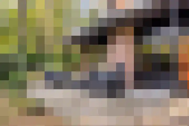 Hogeveldsweg 26 225 Giethmen thumbnail 50