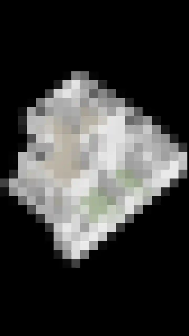 Hogeveldsweg 26 225 Giethmen thumbnail 53