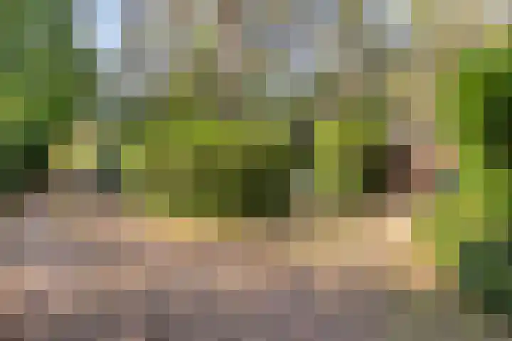 Hogeveldsweg 26 225 Giethmen thumbnail 6