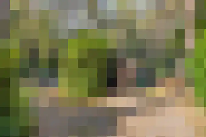 Hogeveldsweg 26 225 Giethmen thumbnail 7