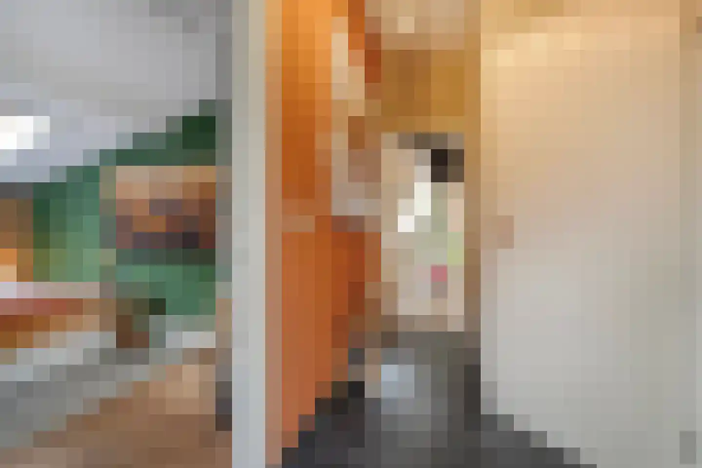 Hogeveldsweg 26 231 Giethmen thumbnail 15