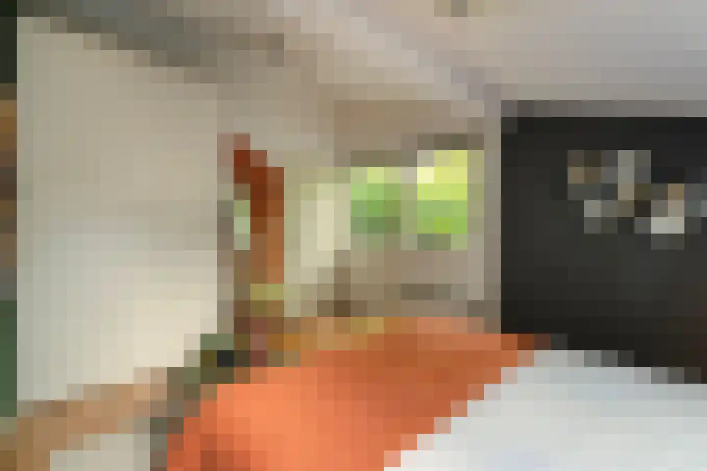 Hogeveldsweg 26 231 Giethmen thumbnail 17