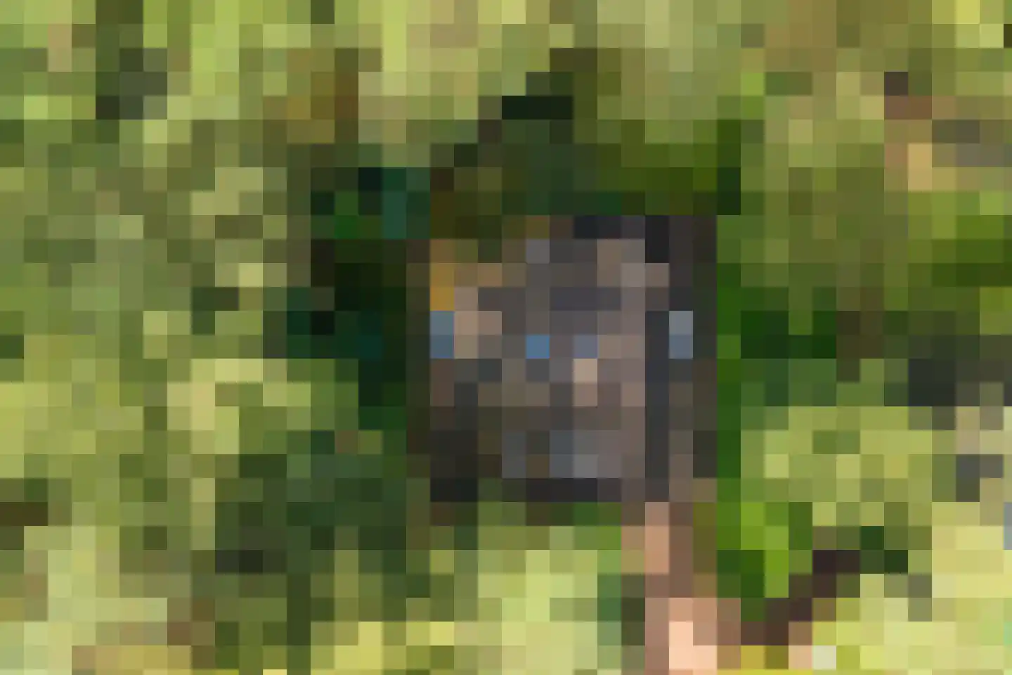Hogeveldsweg 26 231 Giethmen thumbnail 26