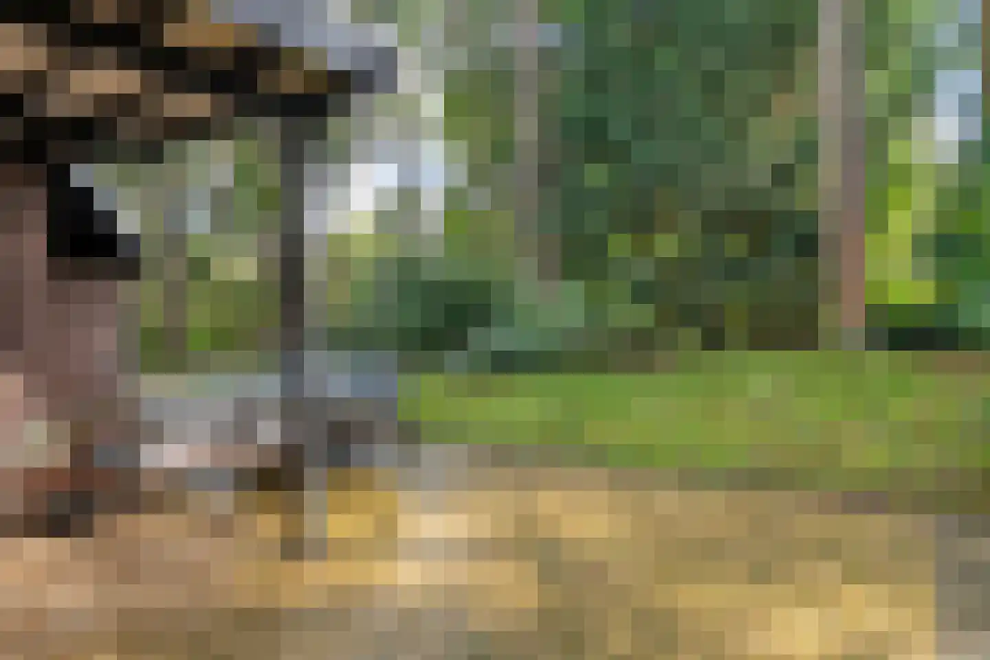 Hogeveldsweg 26 231 Giethmen thumbnail 28