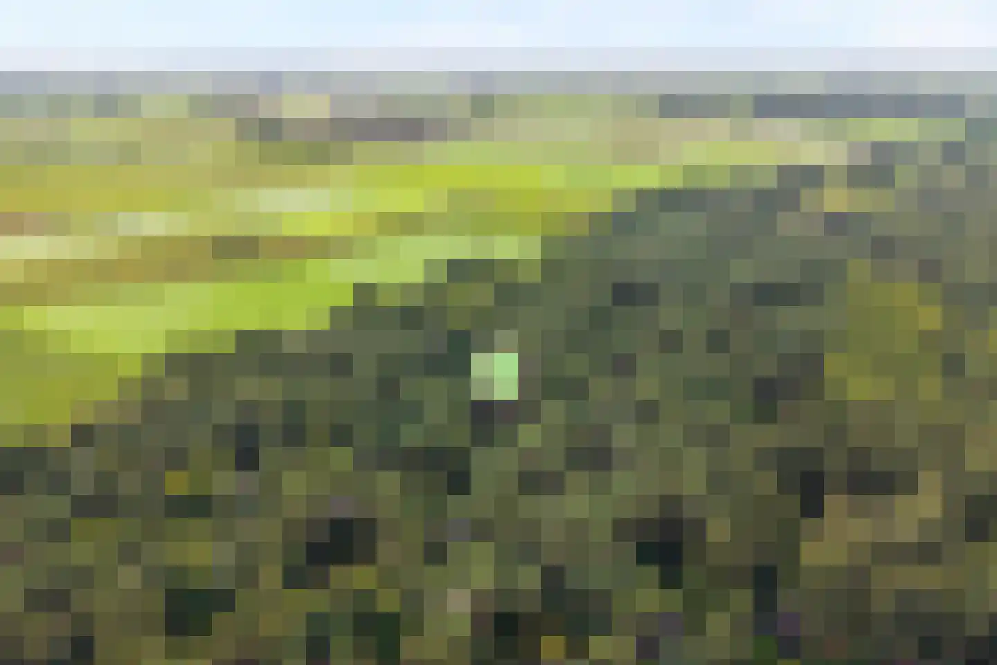 Hogeveldsweg 26 231 Giethmen thumbnail 34