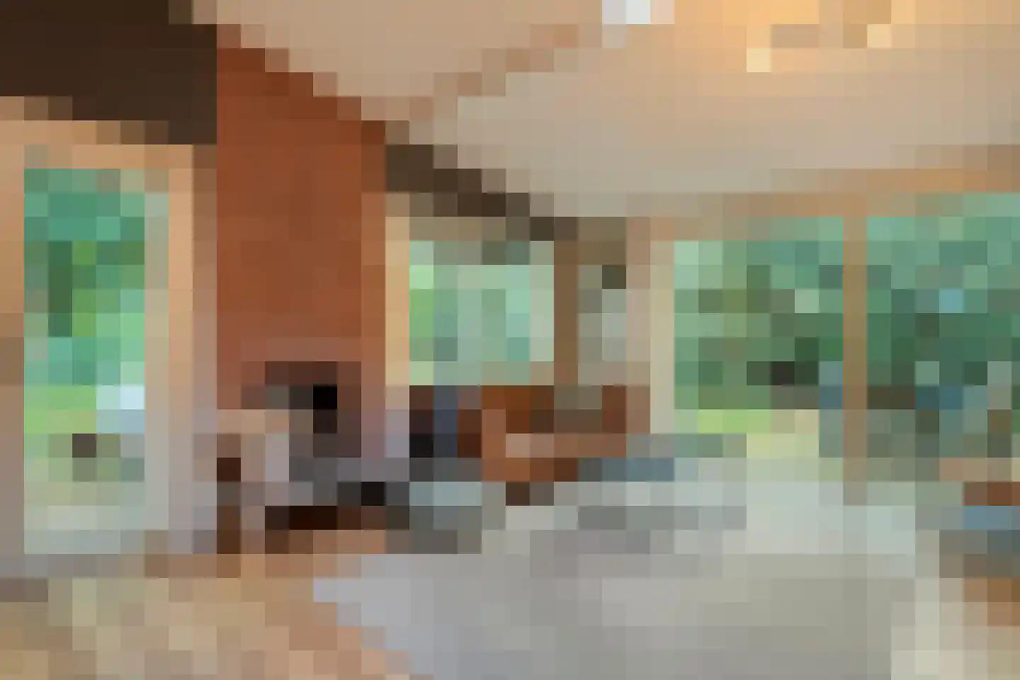 Hogeveldsweg 26 231 Giethmen thumbnail 7