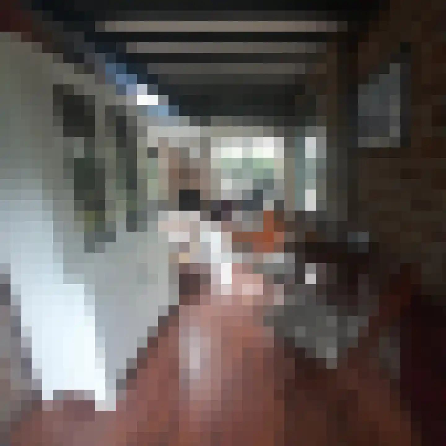 Hogeveldsweg 26 241 Giethmen thumbnail 8