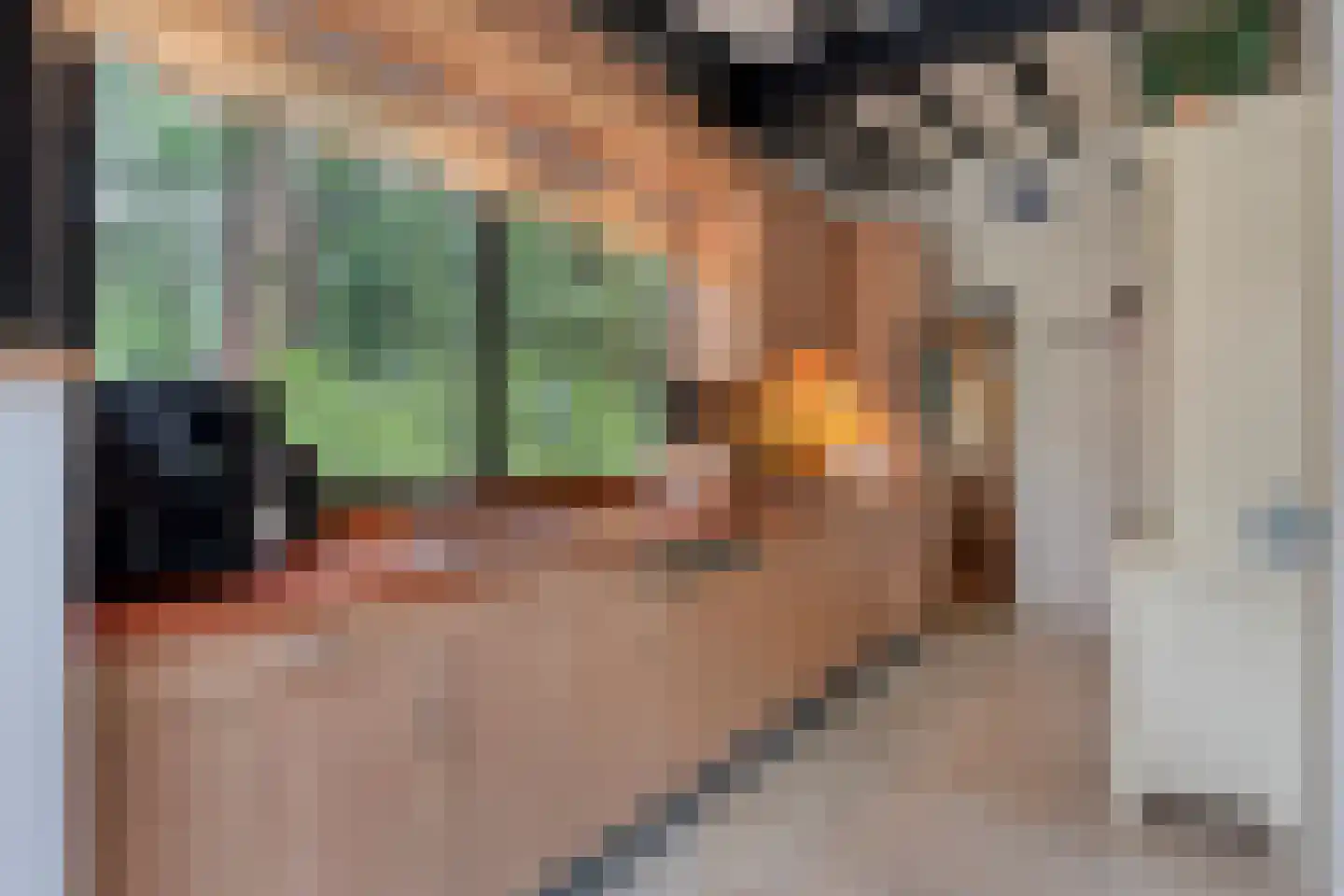 Hogeveldsweg 26 244 Giethmen thumbnail 14