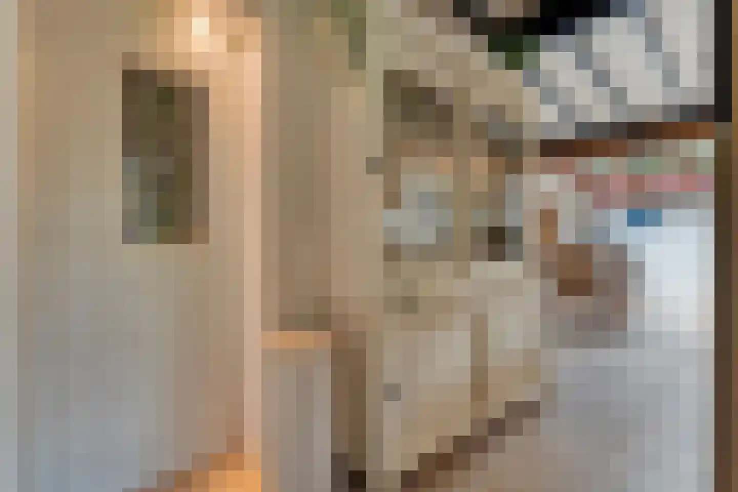Hogeveldsweg 26 244 Giethmen thumbnail 17