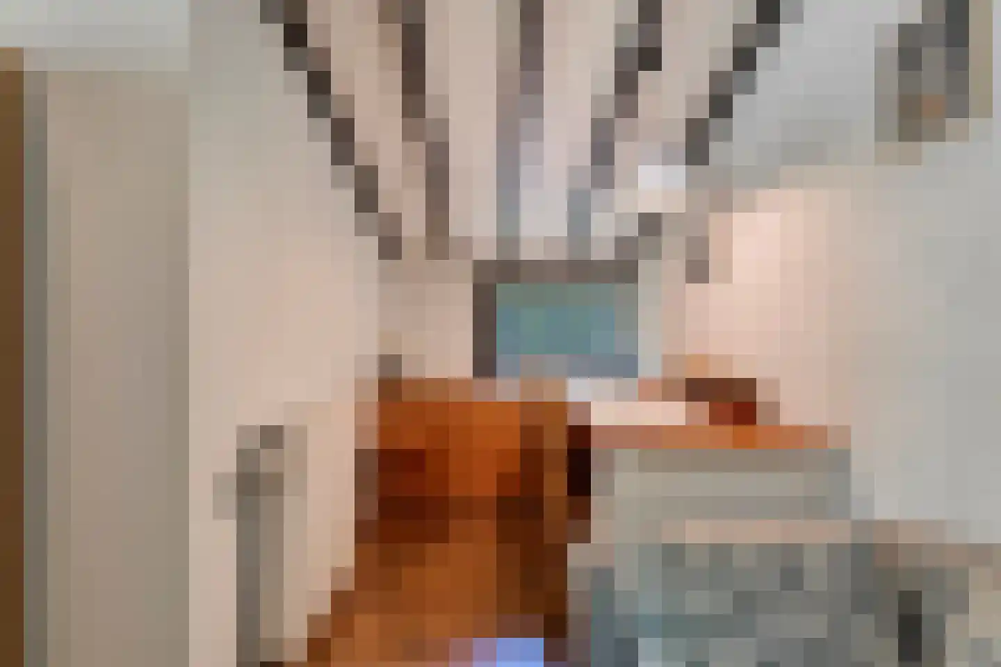 Hogeveldsweg 26 244 Giethmen thumbnail 19
