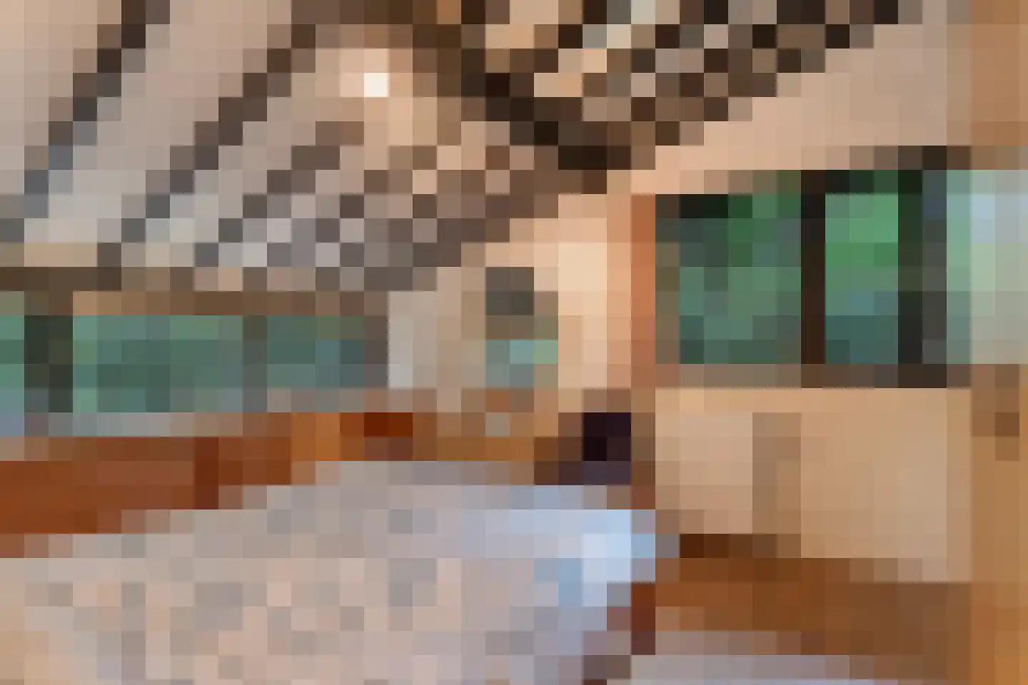 Hogeveldsweg 26 244 Giethmen thumbnail 23
