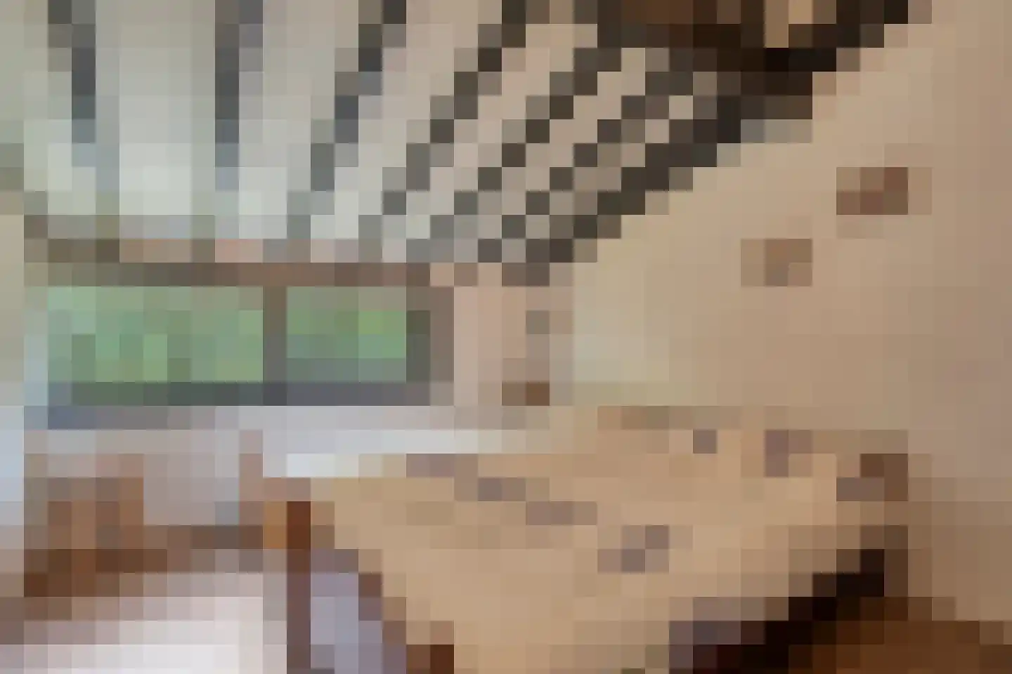 Hogeveldsweg 26 244 Giethmen thumbnail 24