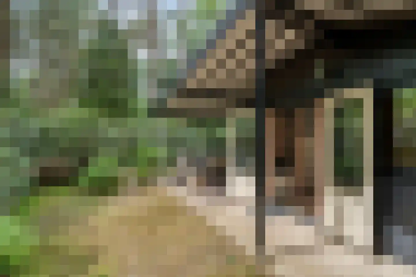 Hogeveldsweg 26 244 Giethmen thumbnail 29