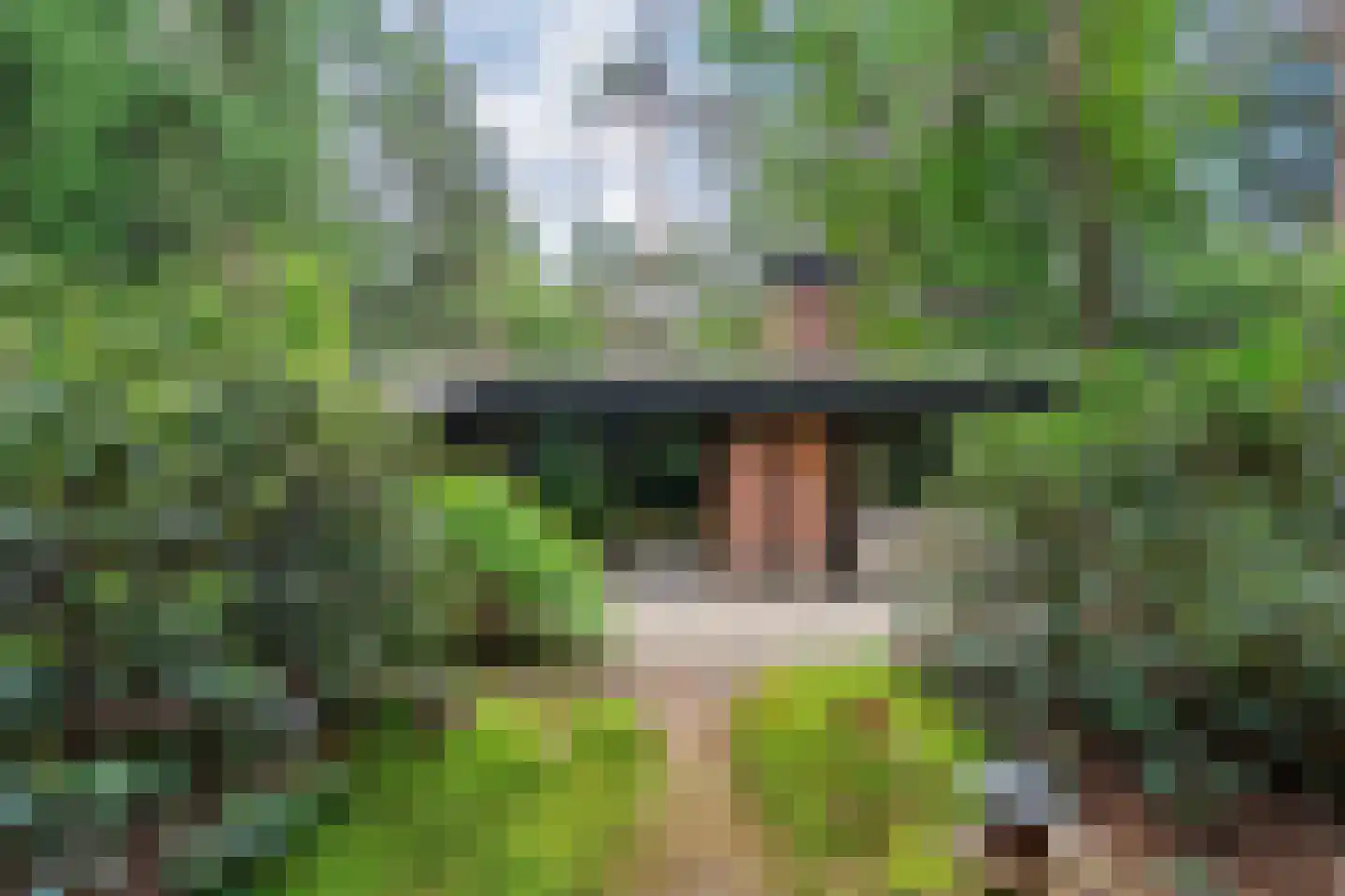 Hogeveldsweg 26 244 Giethmen thumbnail 32