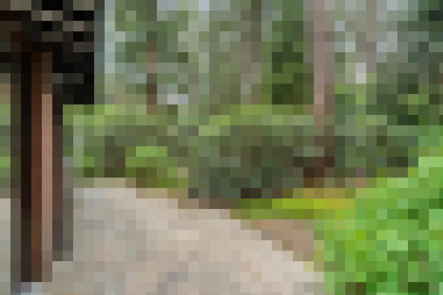Hogeveldsweg 26 244 Giethmen thumbnail 33