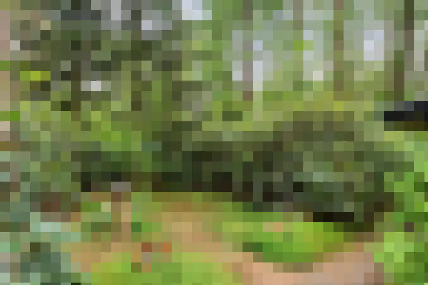 Hogeveldsweg 26 244 Giethmen thumbnail 34