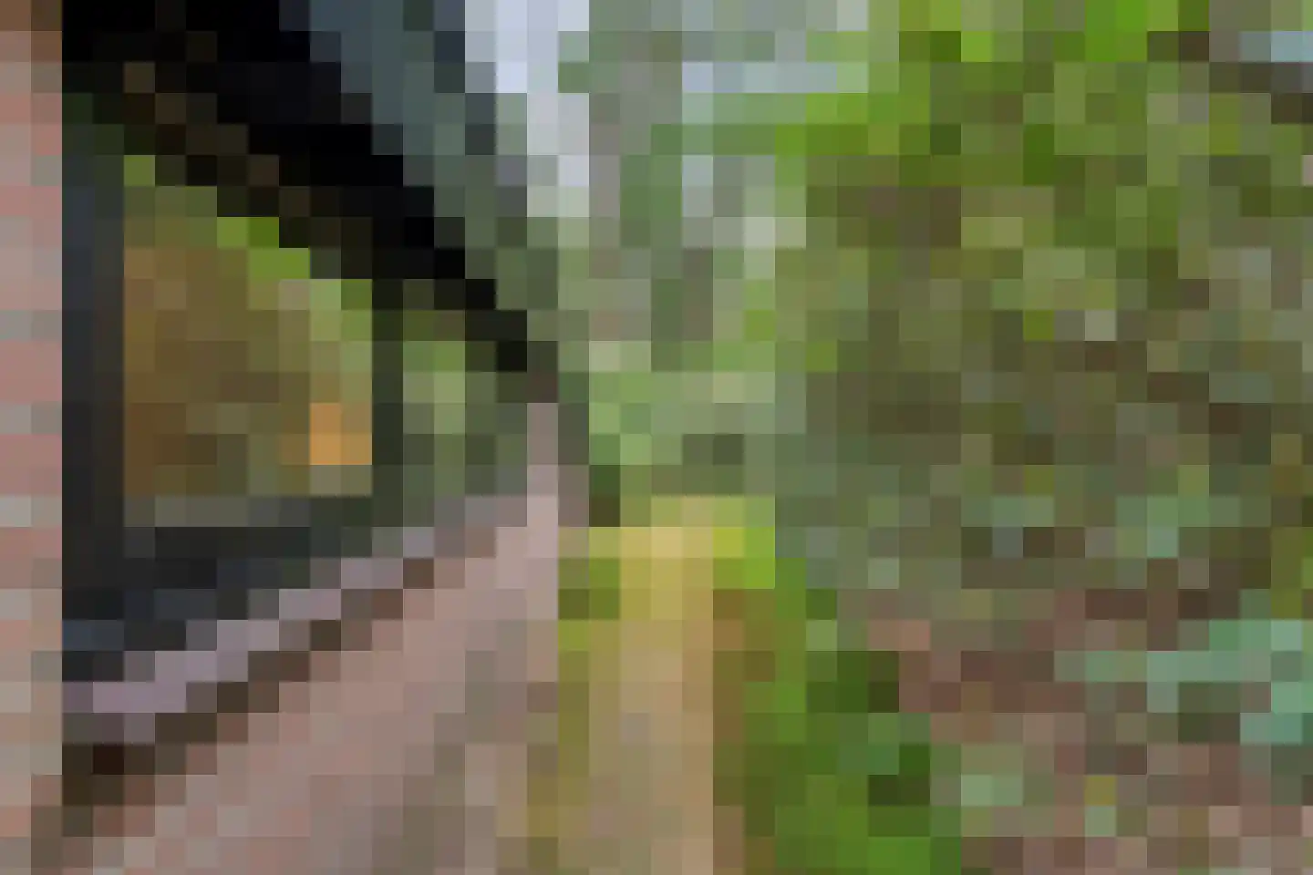 Hogeveldsweg 26 244 Giethmen thumbnail 37