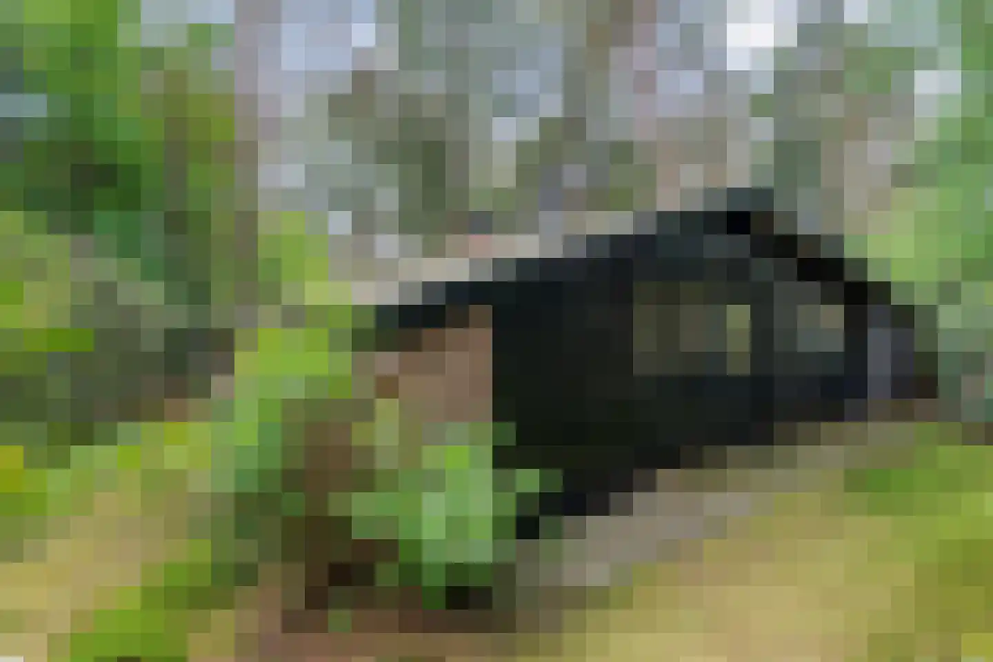 Hogeveldsweg 26 244 Giethmen thumbnail 39
