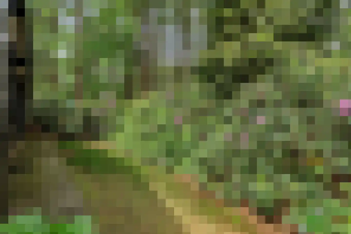 Hogeveldsweg 26 244 Giethmen thumbnail 40