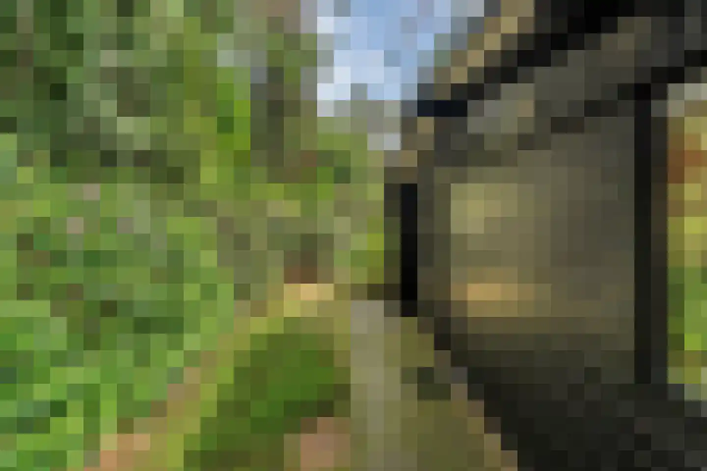 Hogeveldsweg 26 244 Giethmen thumbnail 41