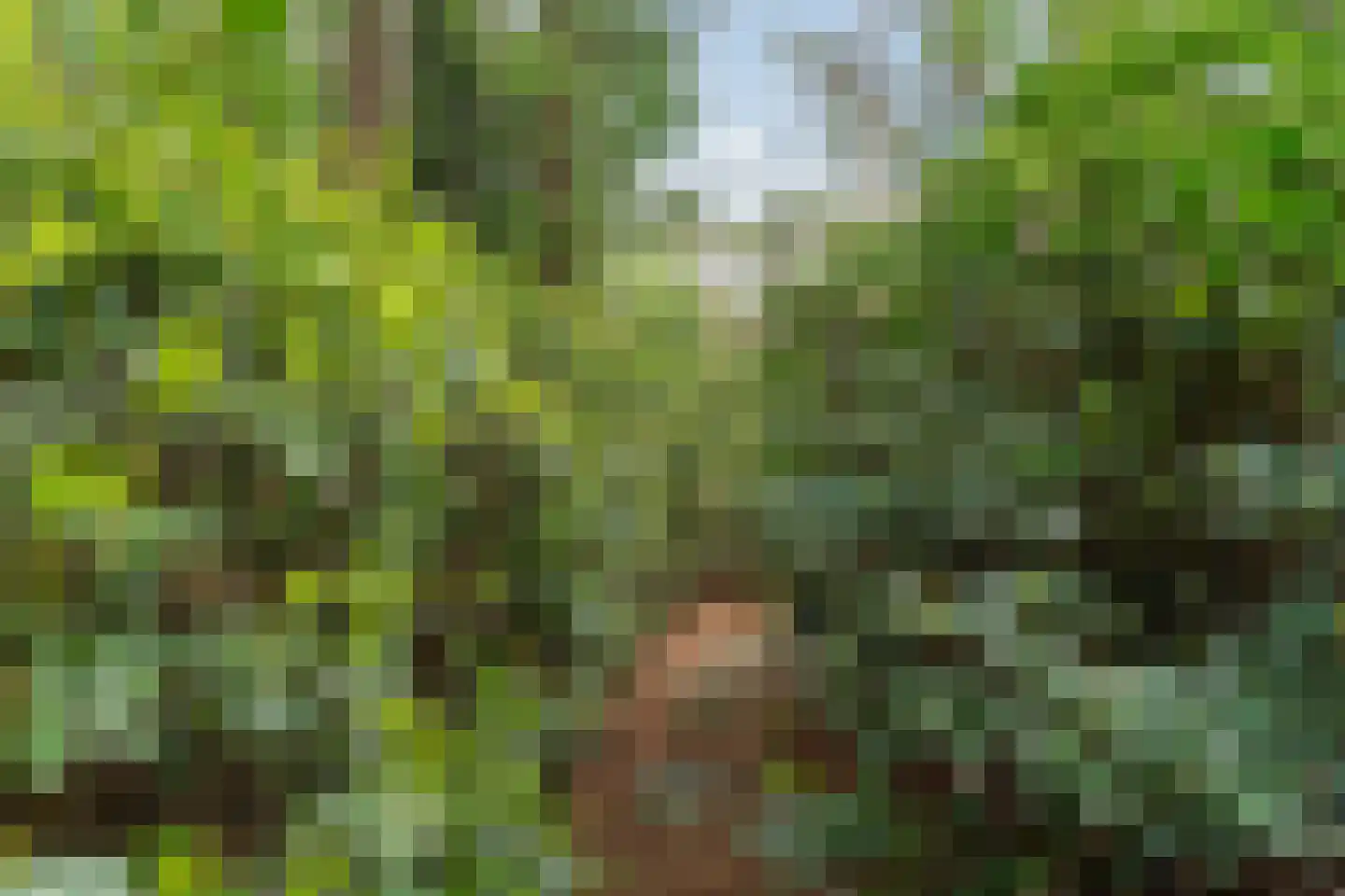 Hogeveldsweg 26 244 Giethmen thumbnail 42