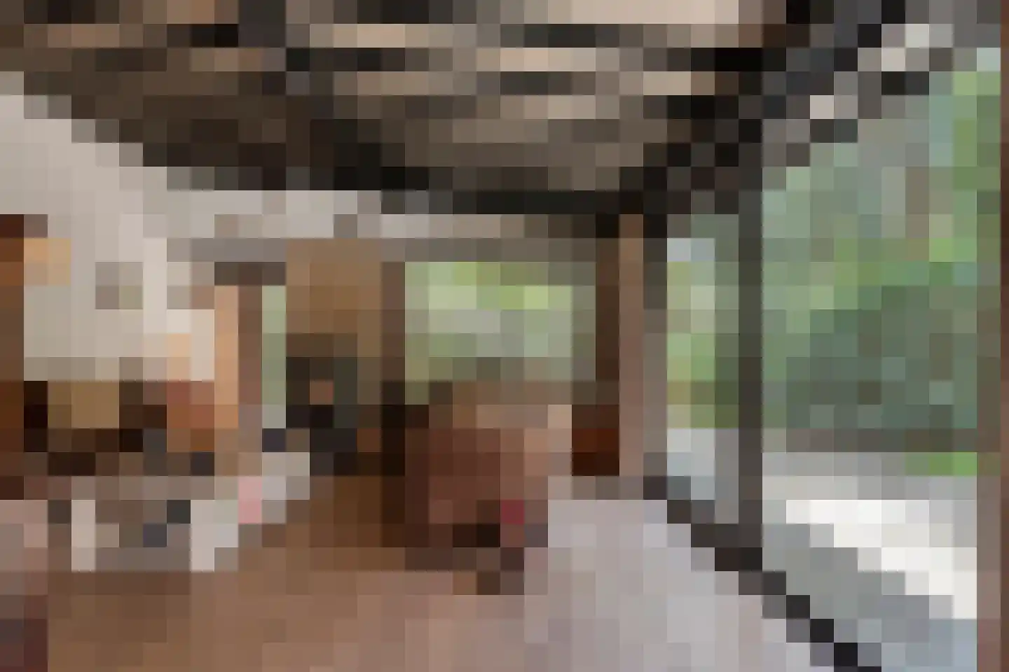 Hogeveldsweg 26 244 Giethmen thumbnail 7