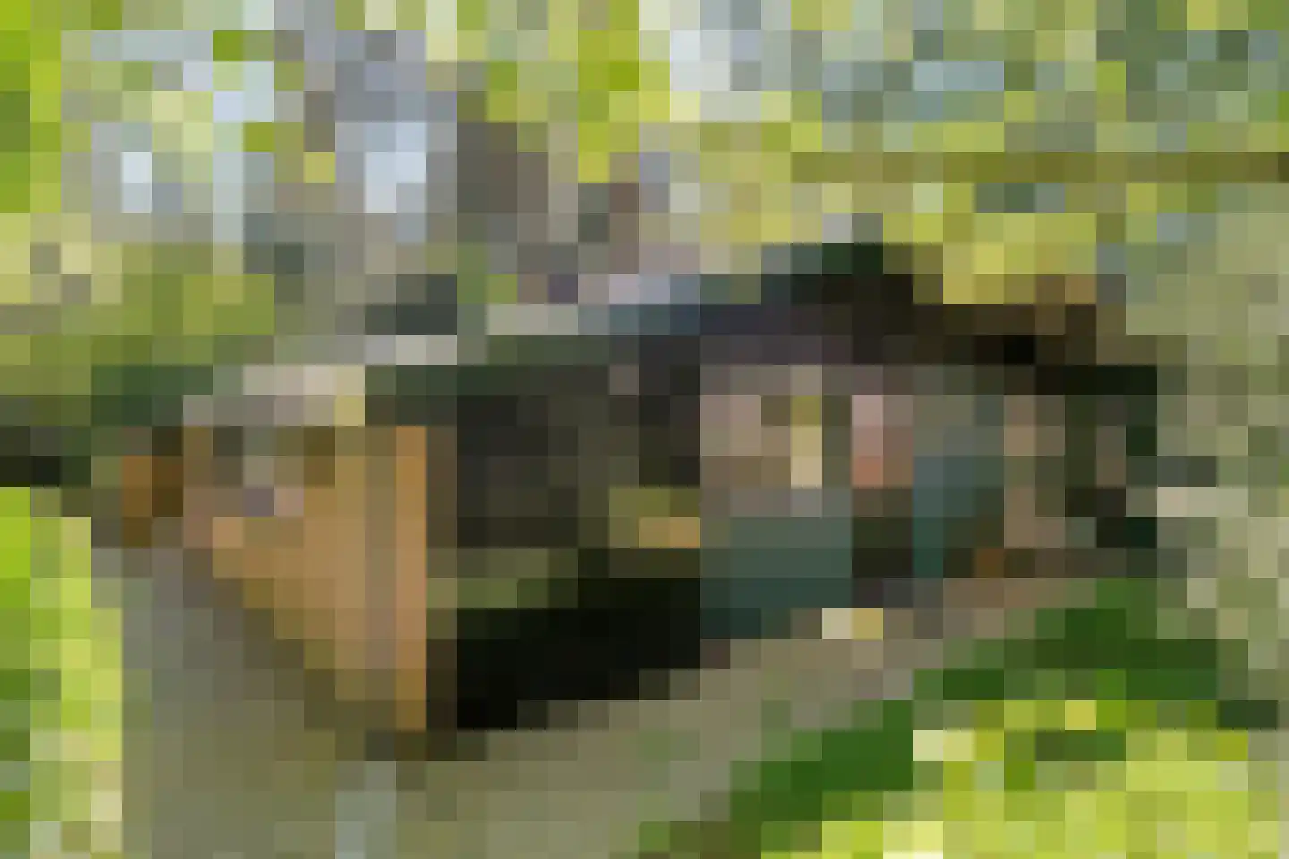 Hogeveldsweg 26 250 Giethmen
