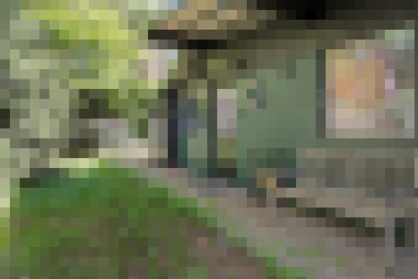 Hogeveldsweg 26 250 Giethmen thumbnail 10