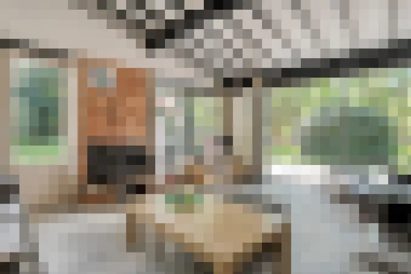 Hogeveldsweg 26 250 Giethmen thumbnail 16