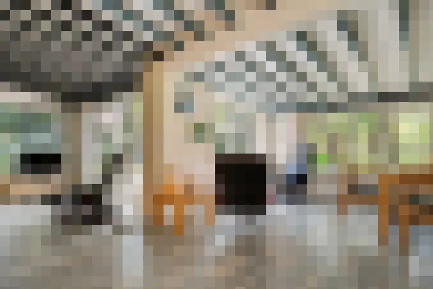 Hogeveldsweg 26 250 Giethmen thumbnail 18