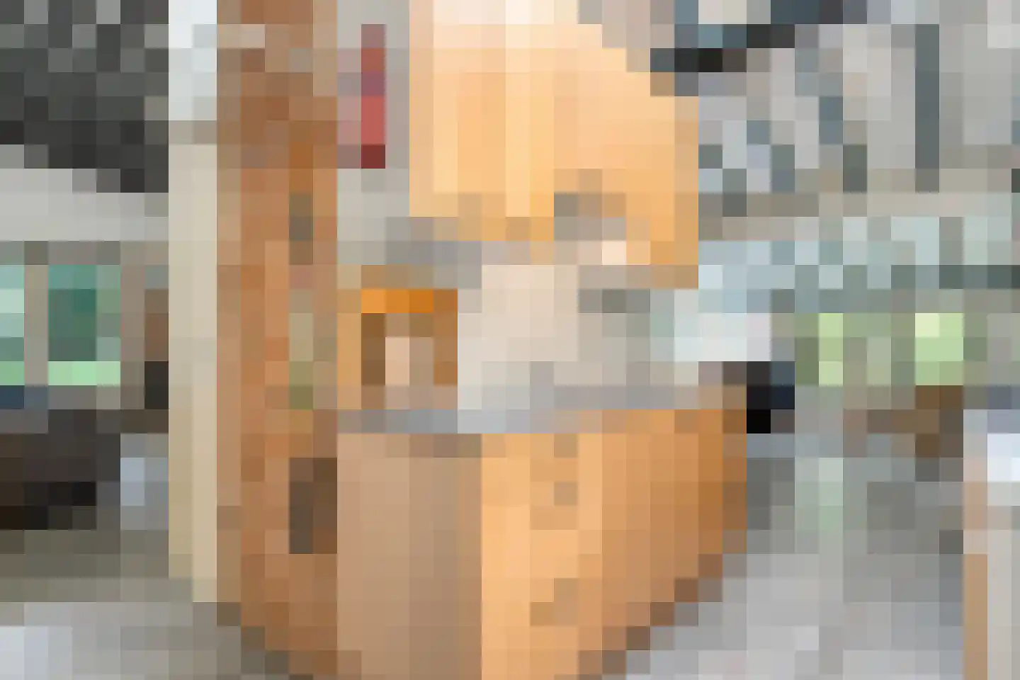 Hogeveldsweg 26 250 Giethmen thumbnail 22