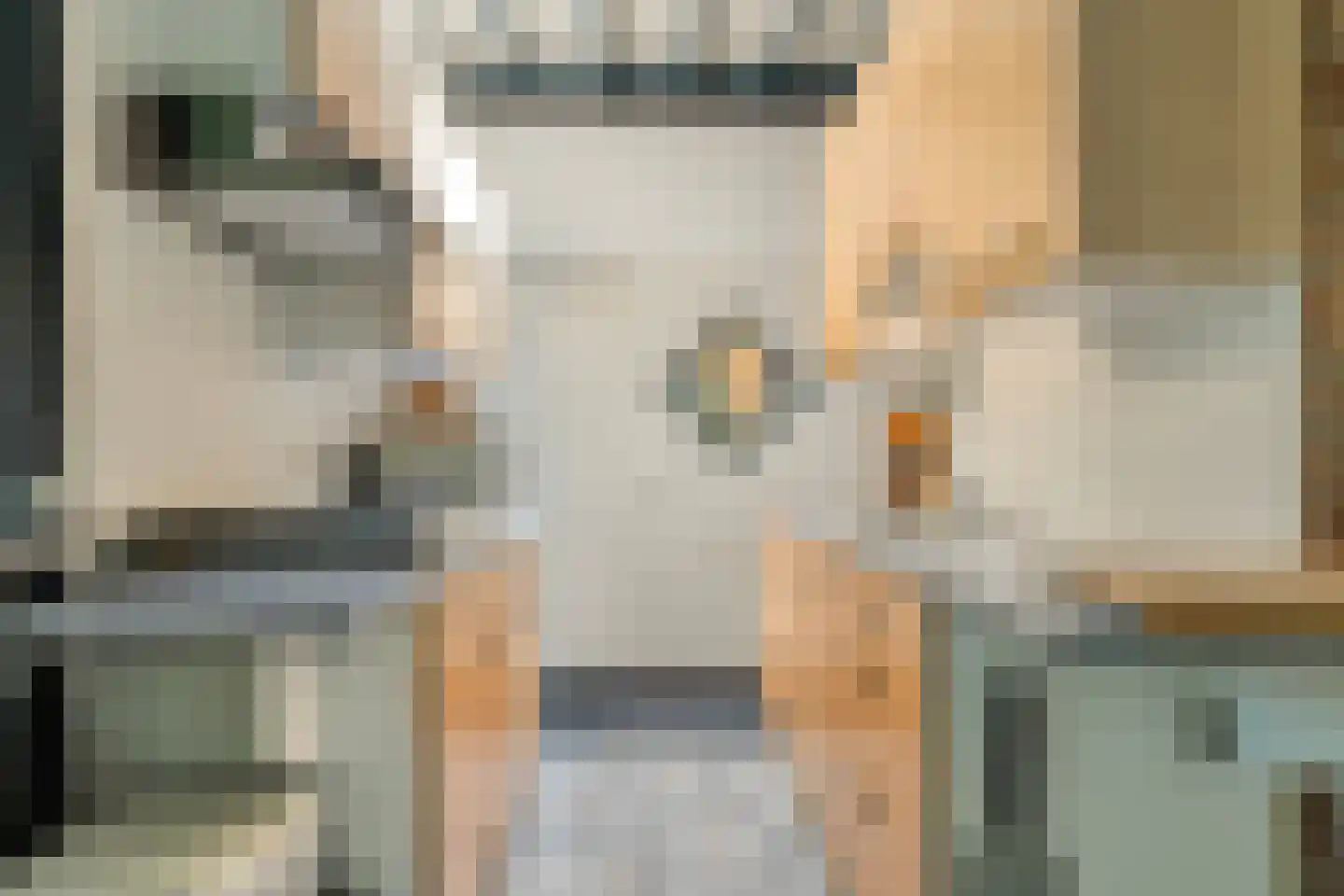 Hogeveldsweg 26 250 Giethmen thumbnail 24