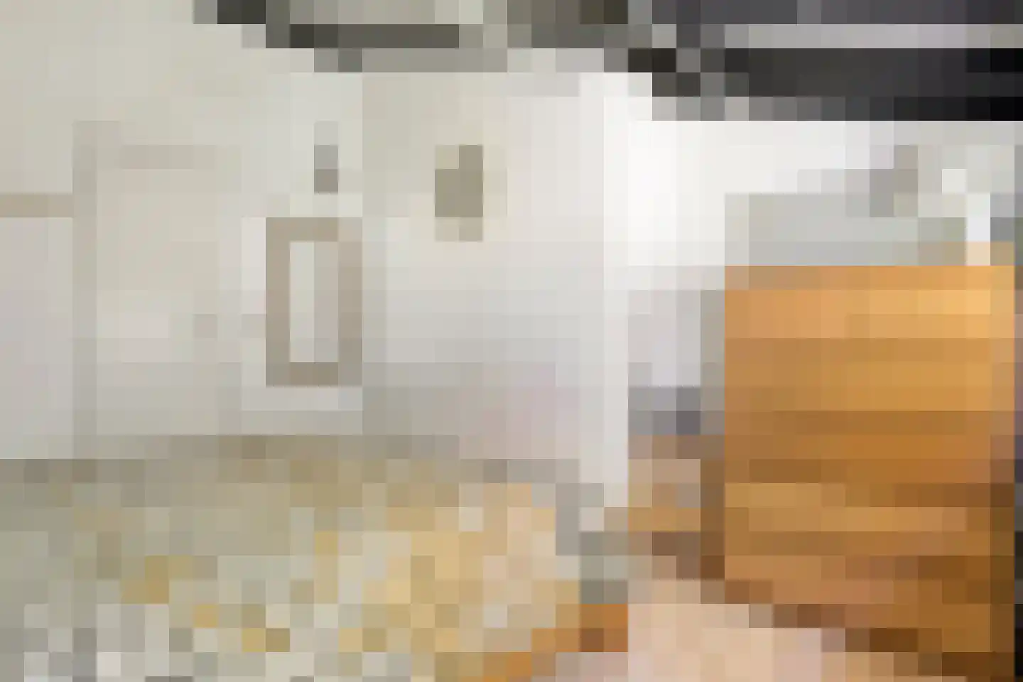 Hogeveldsweg 26 250 Giethmen thumbnail 28