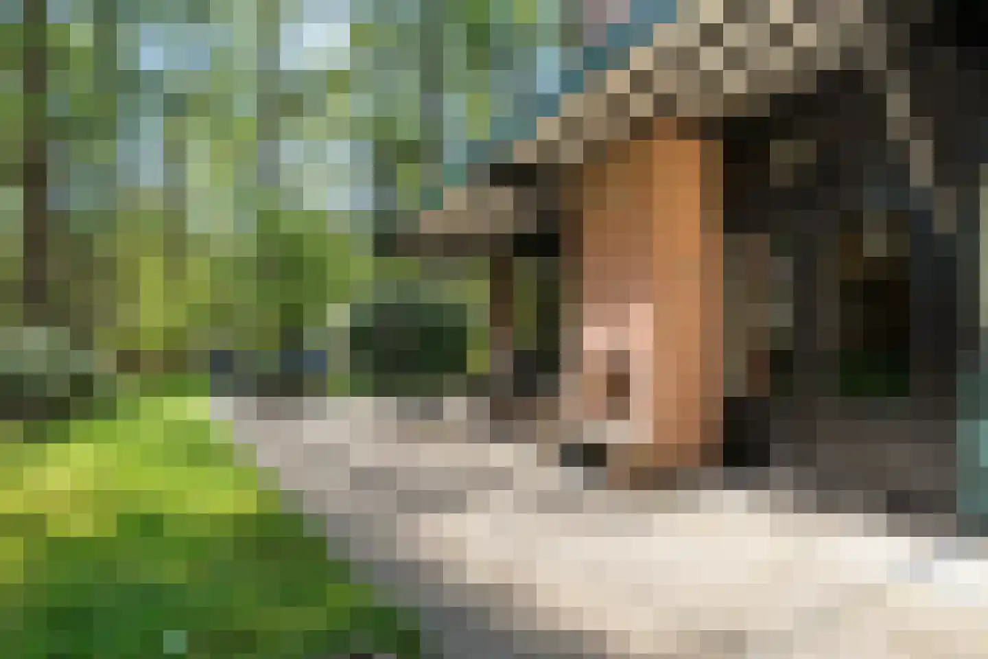 Hogeveldsweg 26 250 Giethmen thumbnail 30