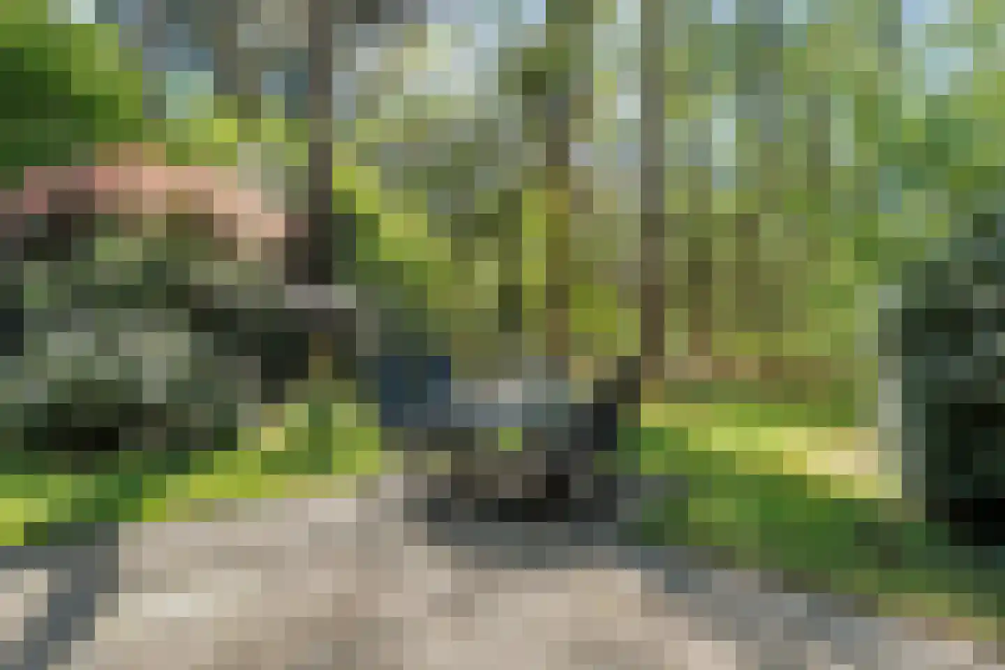Hogeveldsweg 26 250 Giethmen thumbnail 33
