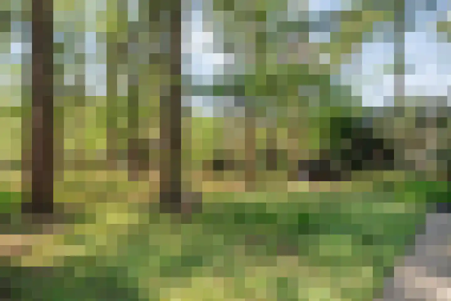 Hogeveldsweg 26 250 Giethmen thumbnail 34
