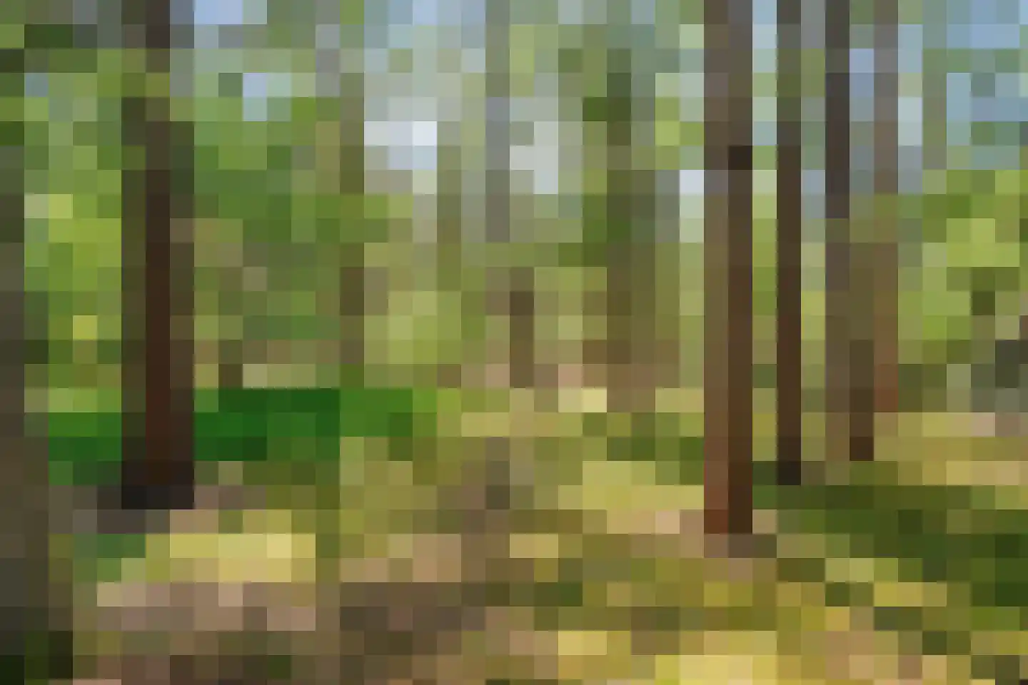 Hogeveldsweg 26 250 Giethmen thumbnail 35
