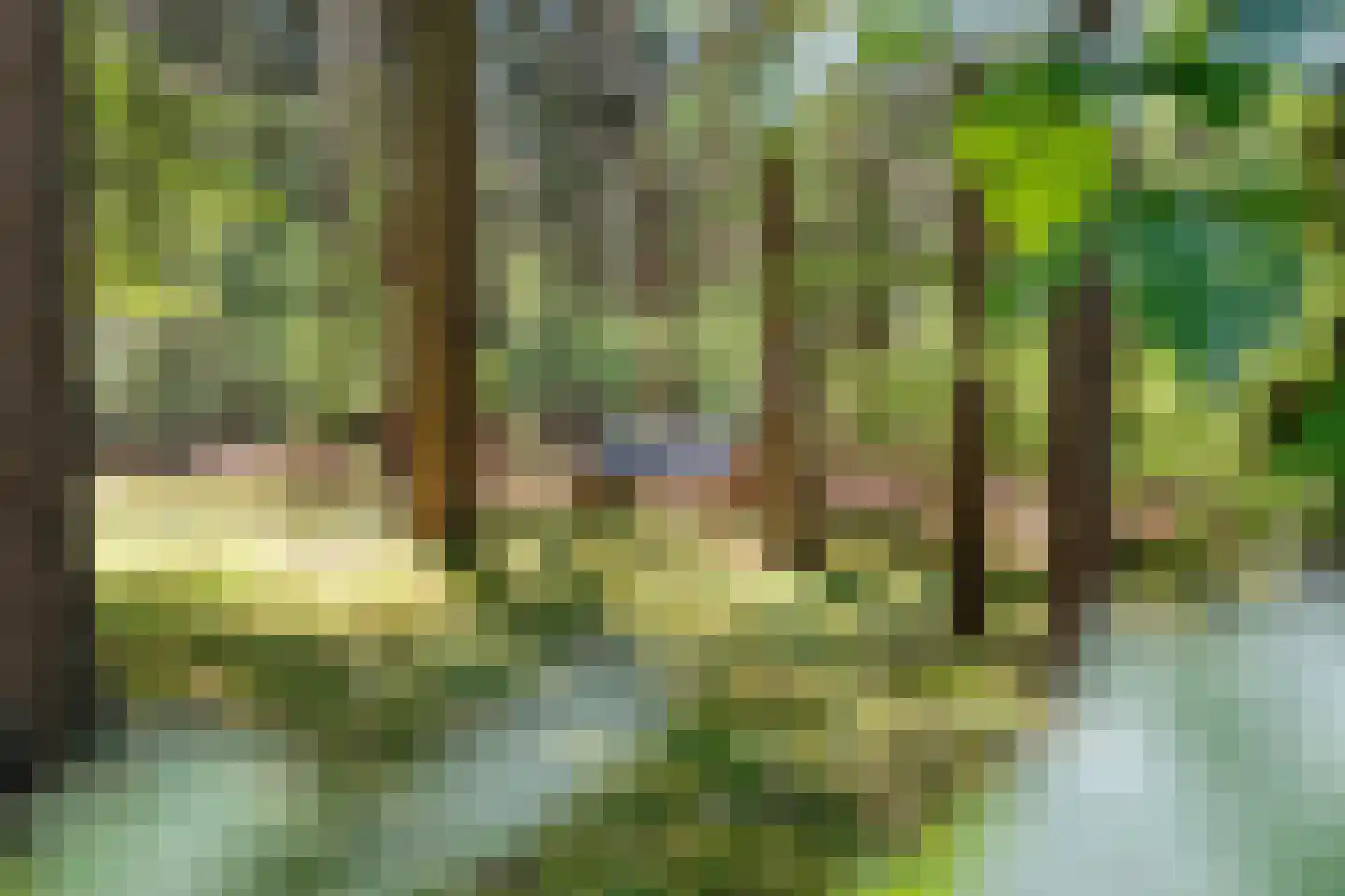 Hogeveldsweg 26 250 Giethmen thumbnail 36