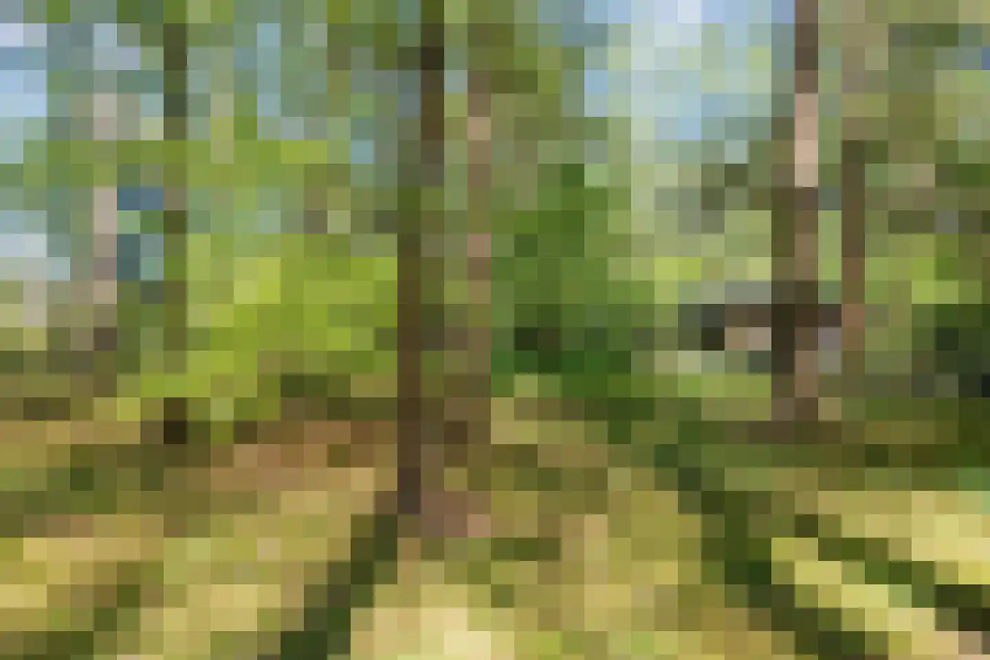 Hogeveldsweg 26 250 Giethmen thumbnail 37