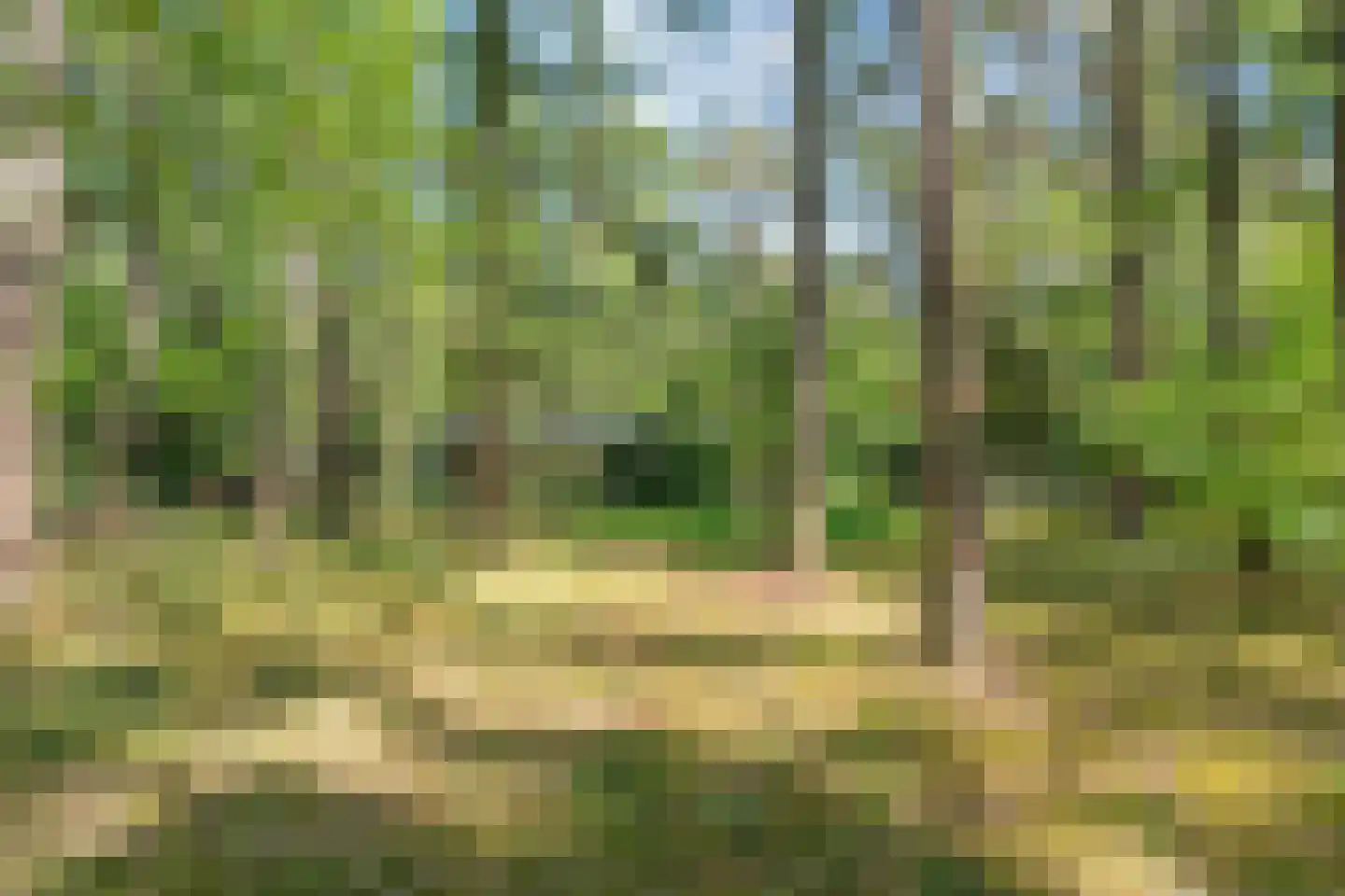 Hogeveldsweg 26 250 Giethmen thumbnail 38