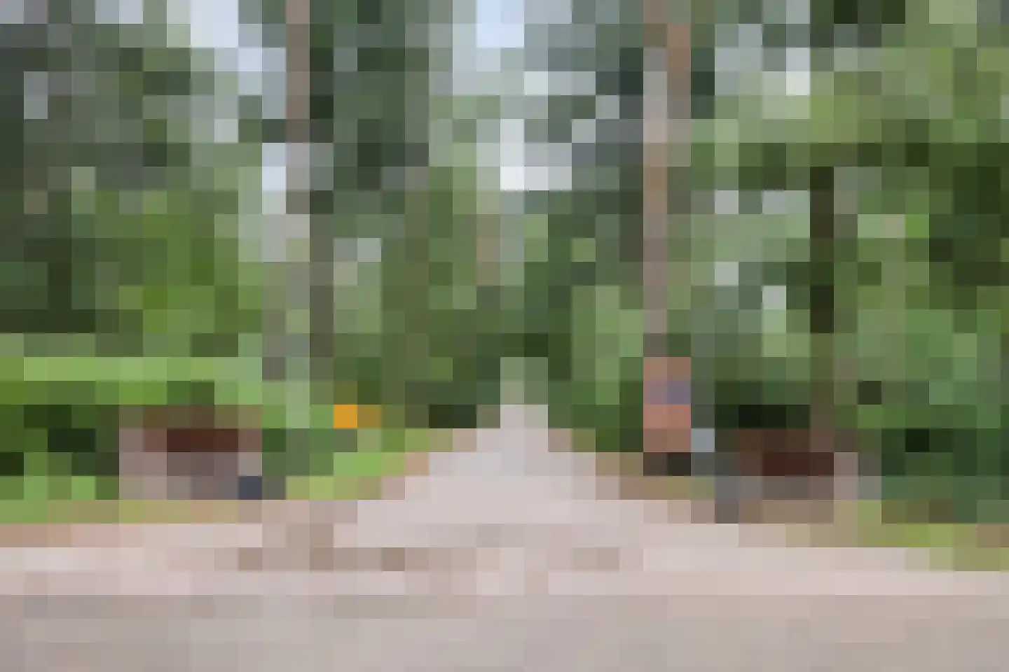 Hogeveldsweg 26 250 Giethmen thumbnail 39