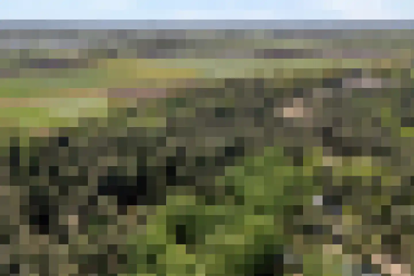 Hogeveldsweg 26 250 Giethmen thumbnail 4