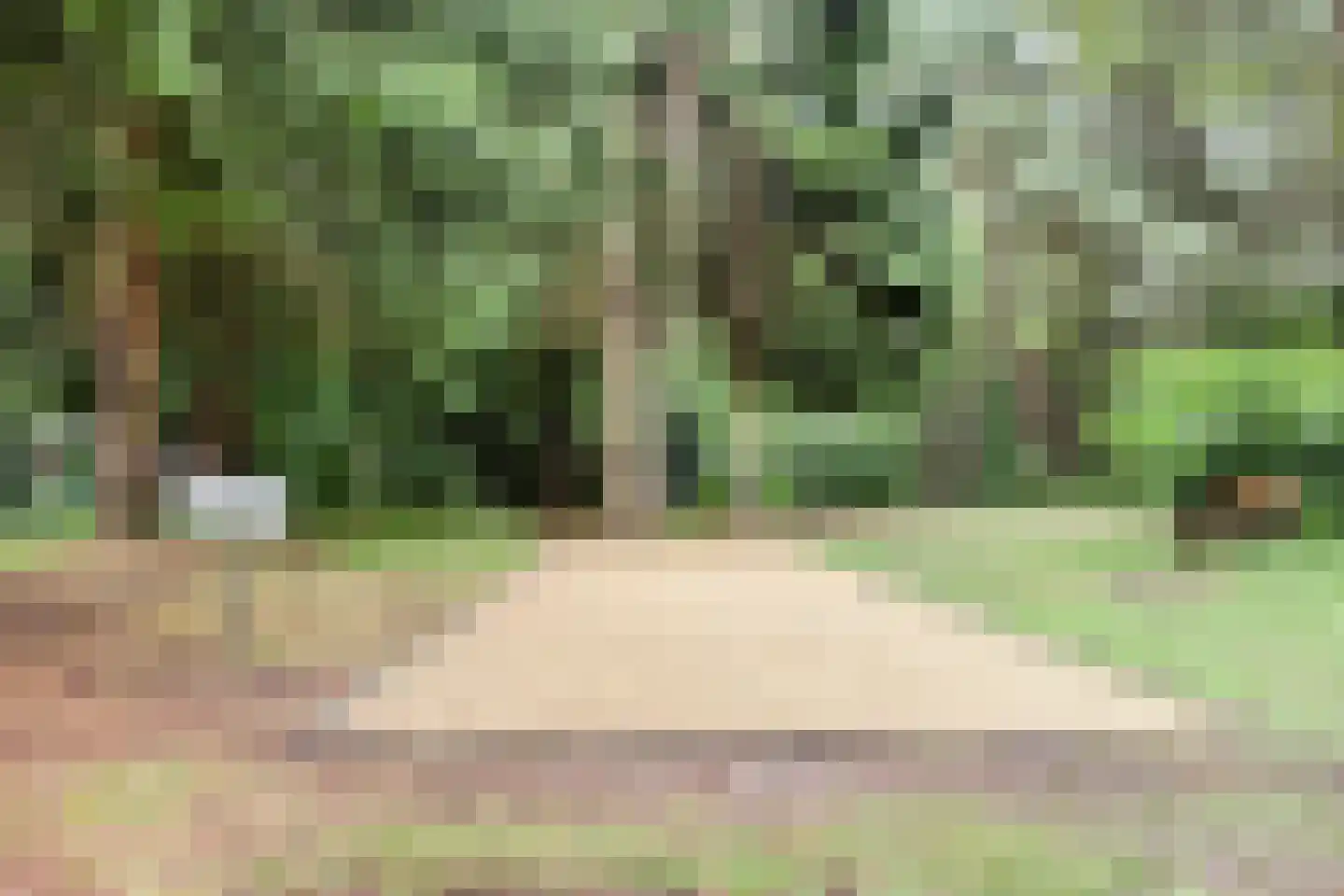 Hogeveldsweg 26 250 Giethmen thumbnail 40